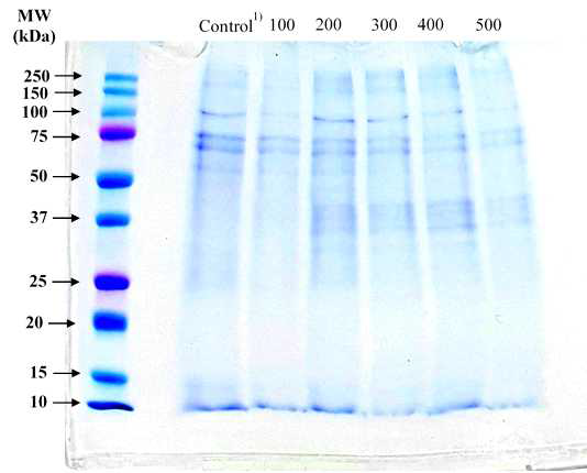 초고압에 의한 식용곤충 단백질의 SDS-PAGE (자체생성). 1) P. brevitarsis was pressed at 0 (control), 100, 200, 300, 400, and 500 MPa