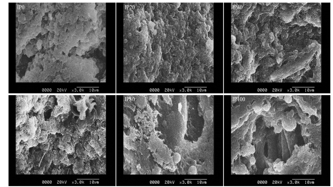 식용곤충 단백질의 대체에 따른 돈육 단백질의 외관. 1) IP and number meant insect protein and percentage of insect extracted powder in gel