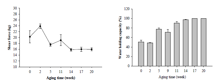 쇠고기 숙성기간 중의 전단력 및 보수력 변화