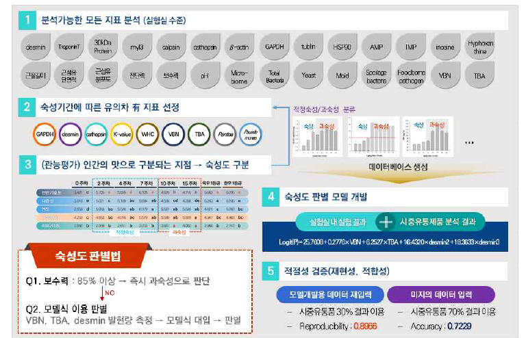 쇠고기 숙성도 판별 연구개발 결과 종합