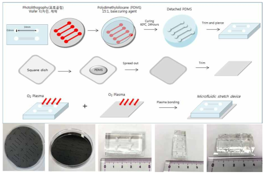 디바이스 제작 과정 및 제작된 웨이퍼․ 디바이스 사진