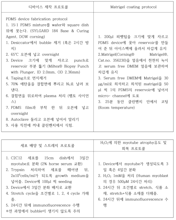 프로토콜