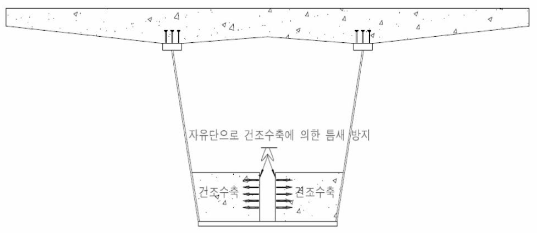 중앙자유단이 설치된 이중합성 강박스 거더의 개념도