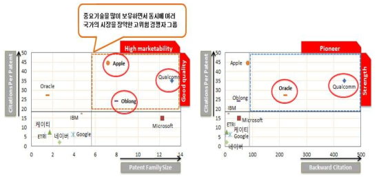 상위출원인 특허 질적 수준 및 시장확보력(전체)