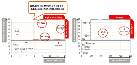 상위출원인 특허 질적 수준 및 시장확보력(전체)