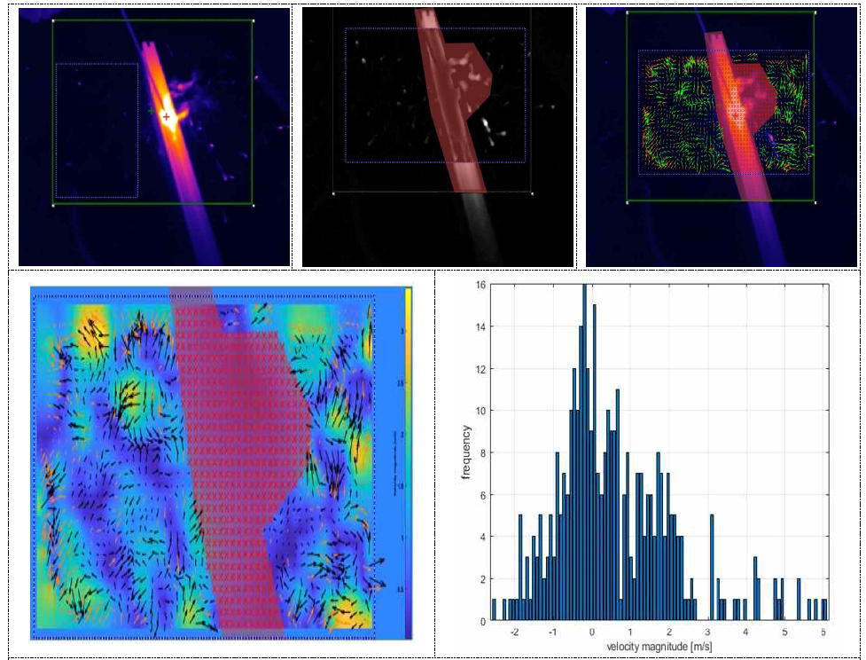 Particle Velocity Distribution (Test1)