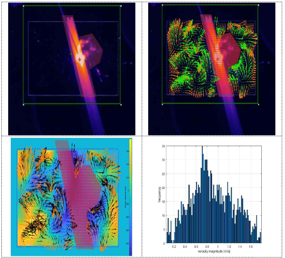 Particle Velocity Distribution (Test3)