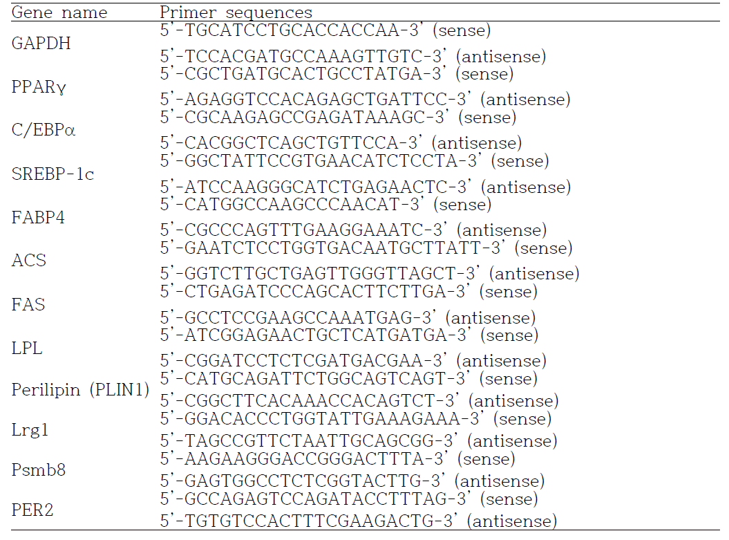 The primer sequences used for real-time PCR