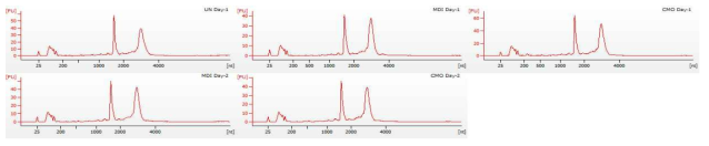 Peak pattern of bioanalyzer QC Data