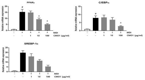 CMO1의 PPARγ와 C/EBPα, SREBP-1c mRNA발현 억제 효과