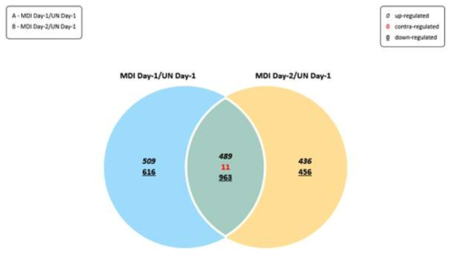 Venn diagram: MDI Day-1/UN Day-1 vs. MDI Day-2/UN Day-1