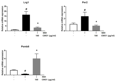 CMO1의 Lrg1, Psmb8, PER2 mRNA 발현 조절 효과