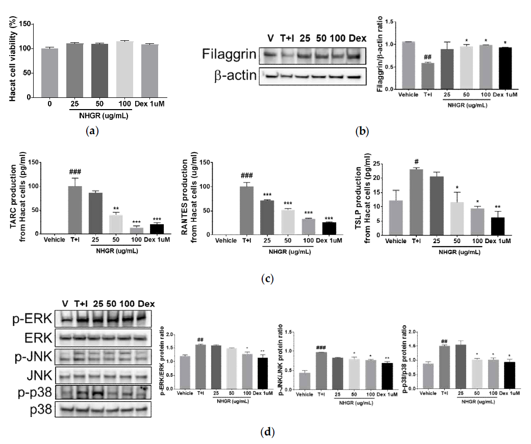 Effect of Siraitia grosvenorii residual extract (NHGR) on protein expression of filaggrin and chemokine and activation of ERK, p38, and JNK MAPKs from TNF-a/IFN-g-induced HaCaT cells. (a) Cell viability, (b) filaggrin expression, (c) chemokine (RANTES, TARC, and TSLP) production, and (d) phosphorylation of ERK, p38, and JNK MAPKs. Protein expression and phosphorylation of MAPKs were examined by western blot analysis. Results are expressed as means ± SEM (n=3). ###p < 0.001 versus vehicle; *p < 0.05 and **p < 0.01 versus TNF-α/IFN-γ-treated Control