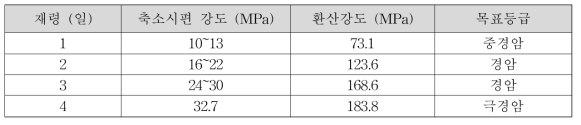 양생 재령에 따른 시멘트 시편의 강도