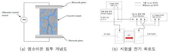 염소이온 침투 개념 및 전기 회로도