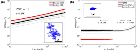 덱스트란 내 입자의 Mean square displacement(MSD)
