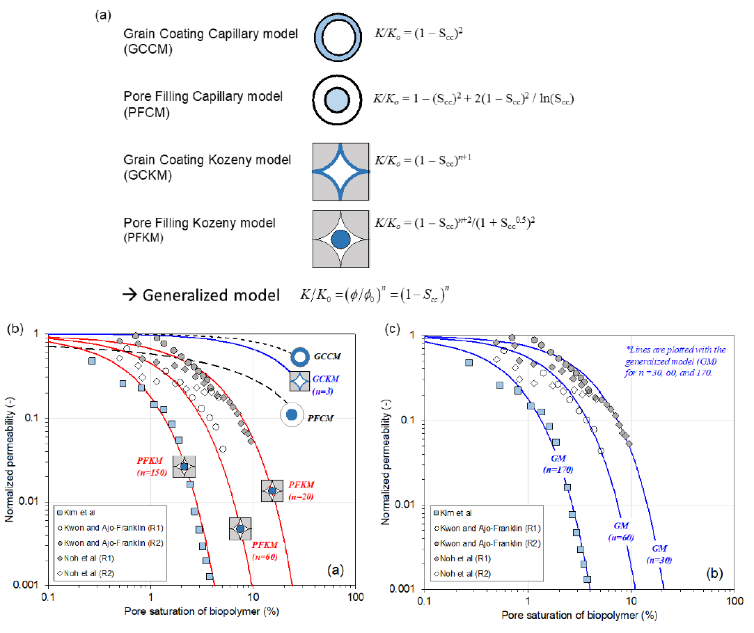 바이오폴리머의 포화도에 따른 투수계수 감소 모델: (a) 선행 연구에 의한 모델과 본 연구에서 제시한 ‘Generalized model’, (b) 선행 연구 및 본 연구의 실험 결과와 선행 모델, (c) 선행 연구 및 본 연구의 실험 결과와 본 연구에서 제시한 모델