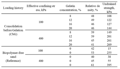 젤라틴을 이용한 삼축 압축 실험 조건