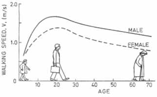 성별, 연령에 따른 보행속도 반영