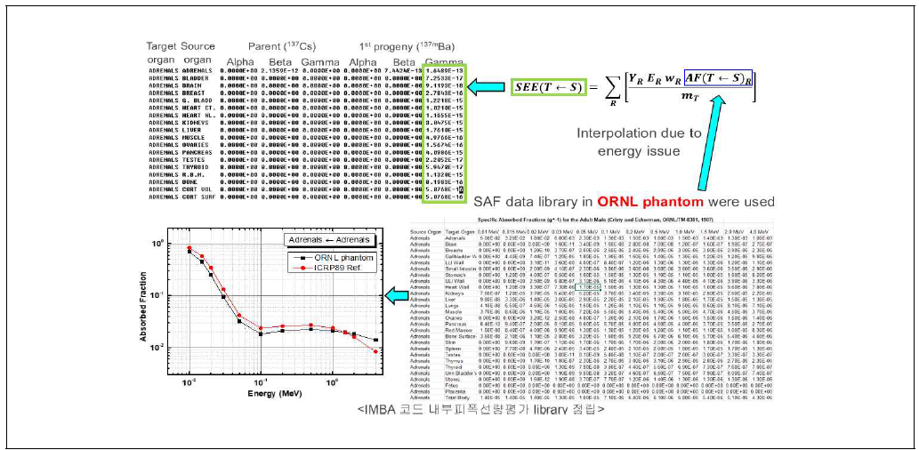 ORNL 팬텀의 AF 값에 대한 IMBA 코드 라이브러리 비교