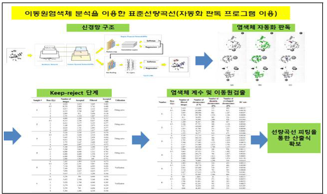 염색체 자동화 판독 프로그램을 이용한 표준선량곡선 제작과정