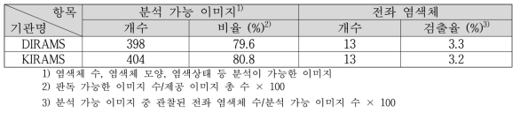 DIRAMS 이미지의 전좌 염색체 분석결과