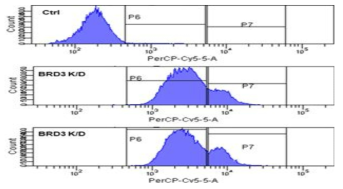 대조군과 BRD4 발현 억제군에서의 지방방울 발현 변화 (FACS assay)