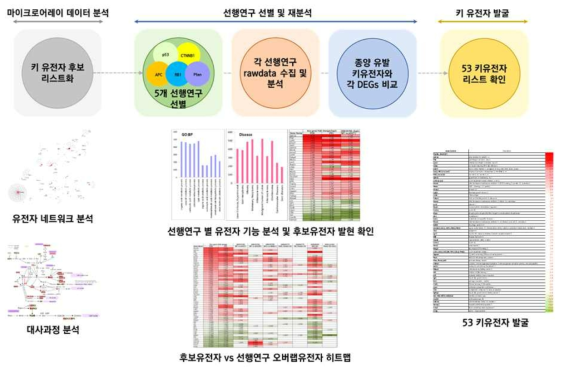 키 유전자 검증을 위한 분석 과정 모식도