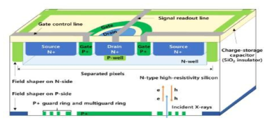 JFET 스위치와 PIN 구조가 합쳐진 픽셀 실리콘 검출기의 단면도