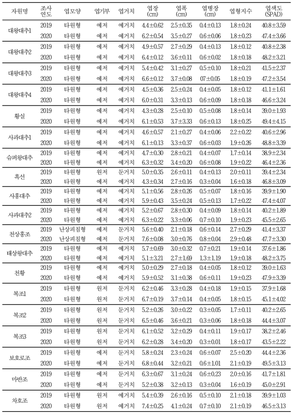 유통 대추 자원별 잎의 형태적 특성