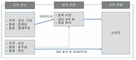 대추 묘목 생산 및 유통