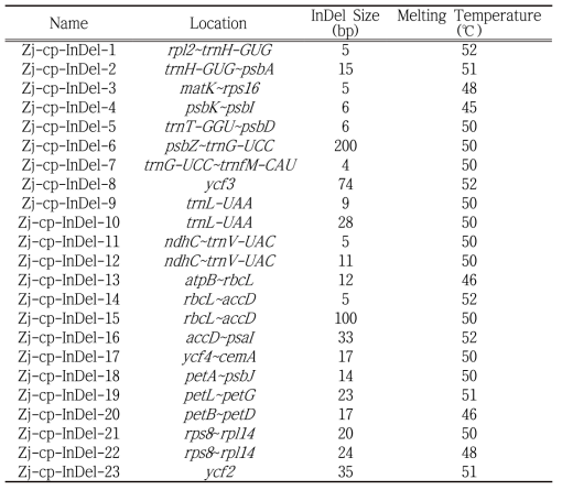 개발된 23개의 엽록체 InDel 마커
