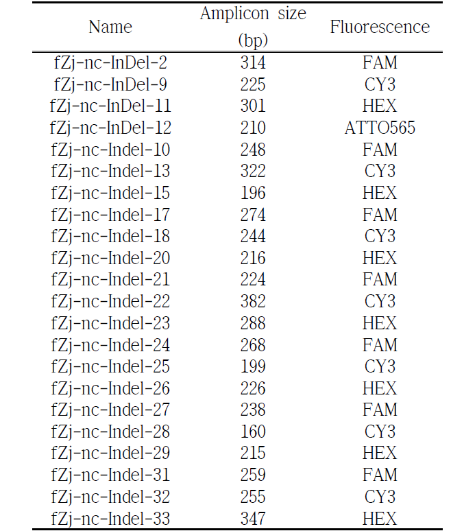 제작된 형광 프라이머 정보