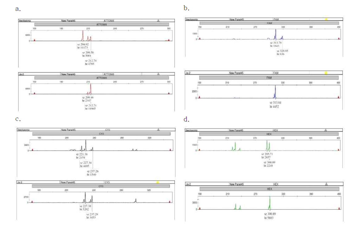 ABI3730을 이용한 형광프라이머 genotyping 결과(a. Zj-nc-InDel-12 b. Zj-nc-InDel-2, c. Zj-nc-InDel-9, d. Zj-nc-InDel-11)