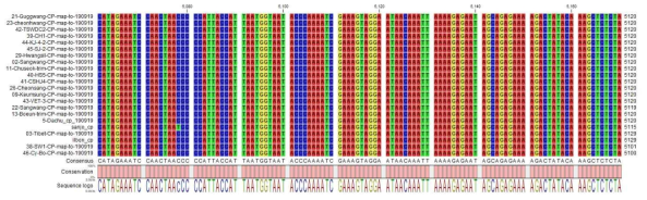 그림 2-3. CLC Main Workbench를 이용한 대추 유전체의 SNP 구간의 확인