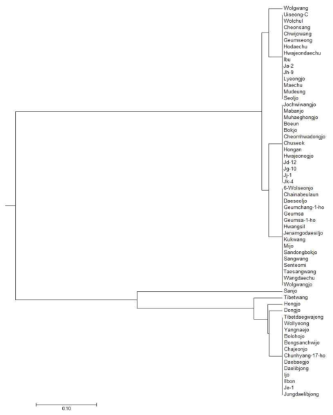 23개의 엽록체 InDel 마커를 적용한 UPGMA 계통수 그림