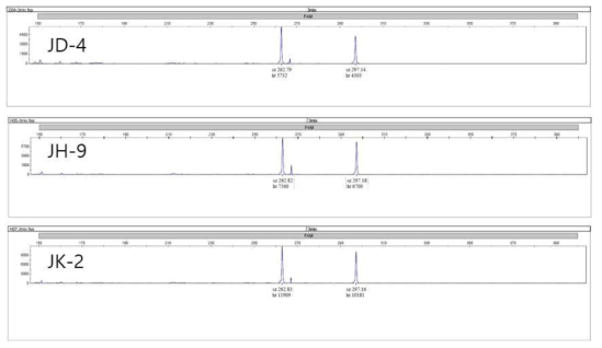 베트남대추와 결과가 일치하는 기존 genotyping 데이터