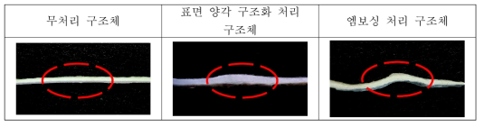 구조체의 표면구조화 방법에 구조변화 : 구조체 단면사진