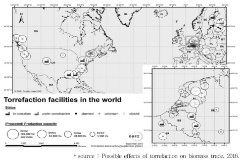 Worldwide activities of biomass torrefaction facilities with different development status