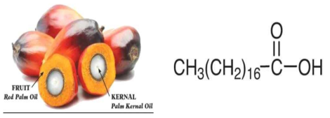 팜스테아린의 원재료(Red Palm oil) 및 화학구조