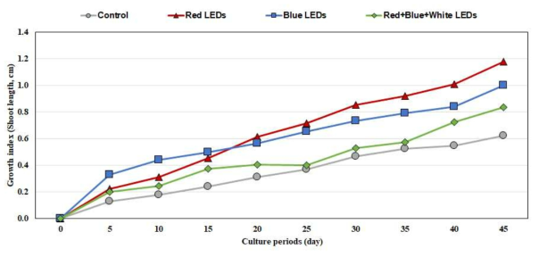 LEDs 광질 종류별 차나무 초장(cm) 길이