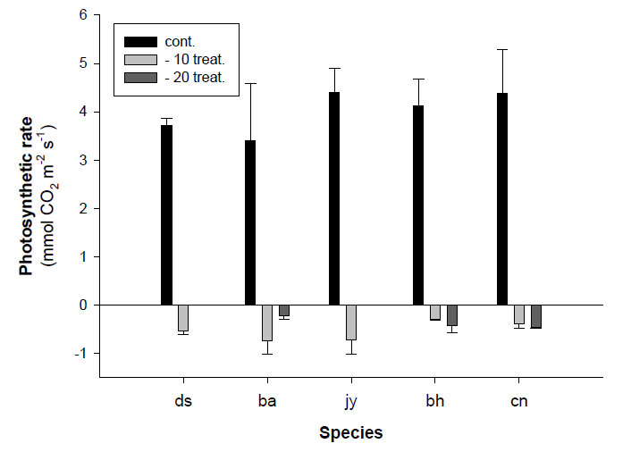 인공저온처리 전․후 차나무 묘목 5종에 대한 광합성 효율 비교