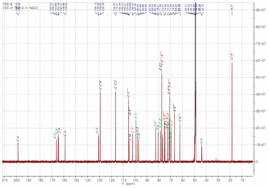 화합물 2 (Theaflavanoside IV)의 ¹³C-NMR (175 MHz) 스펙트럼