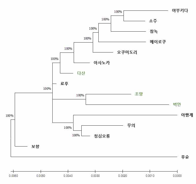 엽록체 DNA 5개 영역 염기서열 기반 차나무 15 품종의 유연관계 분석