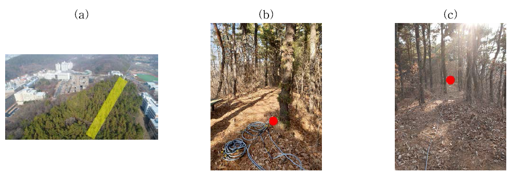 Test bed: (a) Test bed 전경; (b) 초기지점(0m); (c) 종료지점(200m)