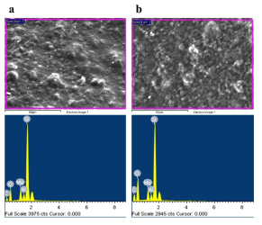 GC의 최종 제품 (a)과 Rogers社 (b)의 SEM-EDX 분석