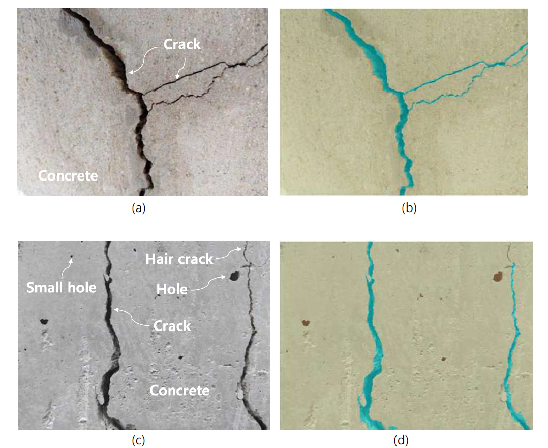 Image of thick cracks and example of labeling (a) Thick crack pattern (b) SS of thick crack (c) Hair cracks and holes (d) SS without small objects