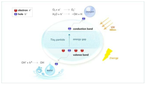 광촉매반응과 저전압 전기 에너지를 이용한 하이드록실 라디칼 생성