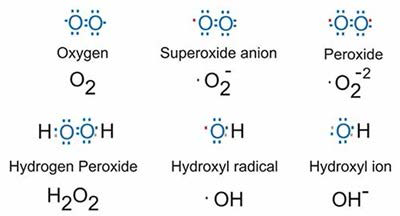과산화수소, 하이드록실 라디칼, 수산기의 형태