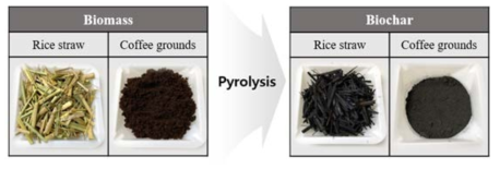 볏짚과 커피찌꺼기의 열분해 전/후 사진